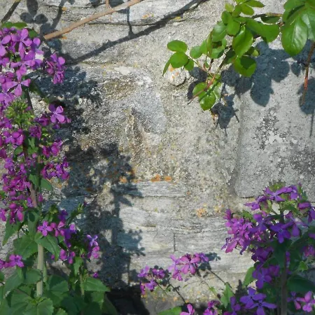 Gite Charmant A Riom-es-montagnes, 4 Pers, Avec Jardin, Terrasse, Cheminee, Proche Randos Et Lacs - Fr-1-742-203 *
