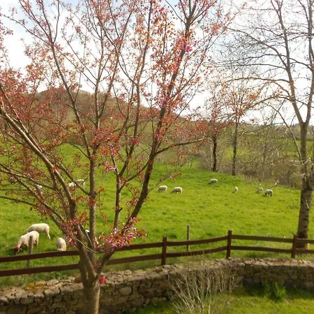 Nyaraló Gite Charmant A Riom-es-montagnes, 4 Pers, Avec Jardin, Terrasse, Cheminee, Proche Randos Et Lacs - Fr-1-742-203 *