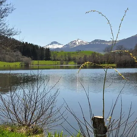 Gite Charmant A Riom-es-montagnes, 4 Pers, Avec Jardin, Terrasse, Cheminee, Proche Randos Et Lacs - Fr-1-742-203 * Riom-ès-Montagne